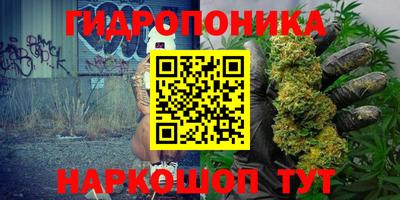 ECSTASY Краснодар