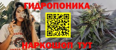 молекула духа Краснознаменск