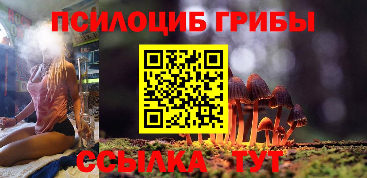 Псилоцибиновые грибы Cubensis Каспийск